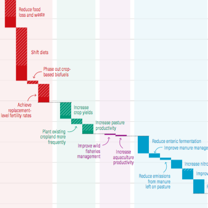 Creating a Sustainable Food Future