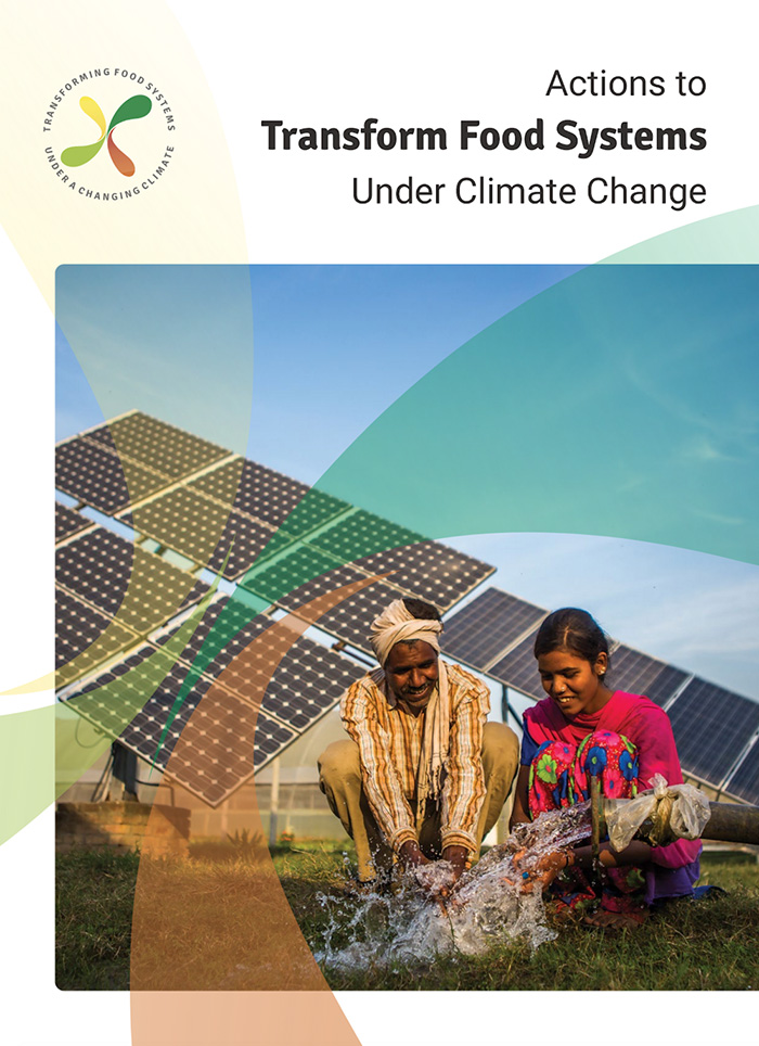 Report cover design for “Actions to Transform Food Systems Under Climate Change”